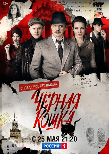 Смотреть Черная кошка (2016) онлайн в Хдрезка качестве 720p